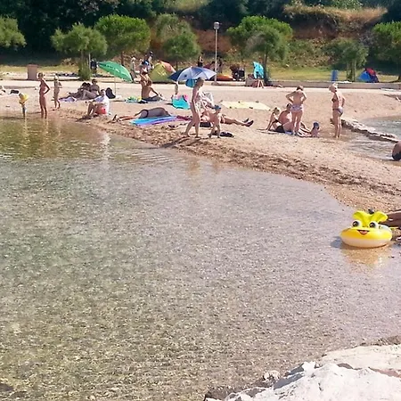 Family Friendly With A Swimming Pool Sveti Filip I Jakov, Biograd - 19325